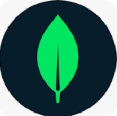 MongoDB